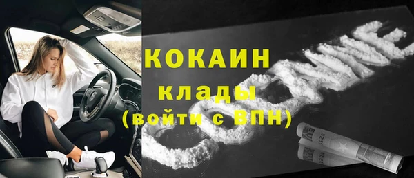 дурь Елизово