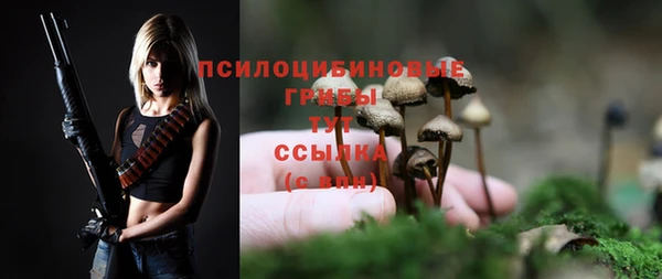 МДПВ Елабуга