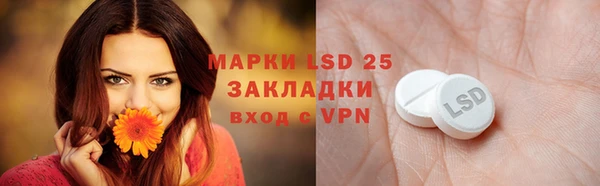 прущие крисы Ельня