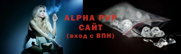 прущие крисы Ельня