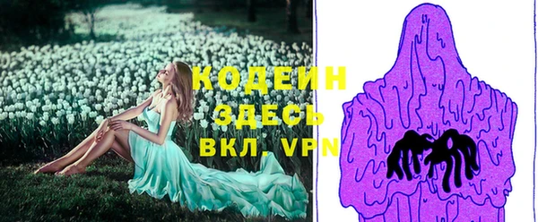 дурь Елизово