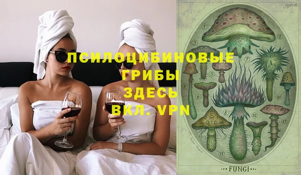 прущие крисы Ельня