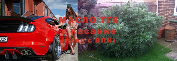 прущие крисы Ельня