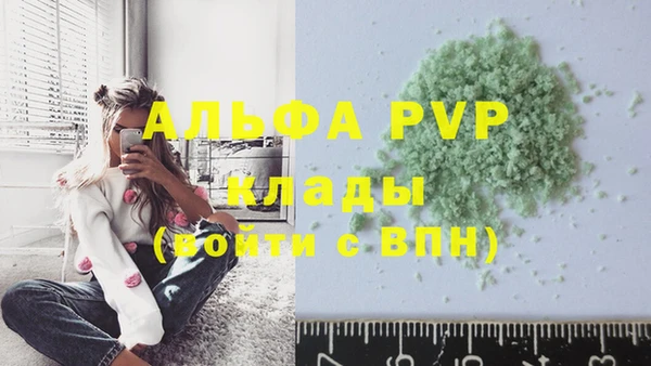 прущие крисы Ельня