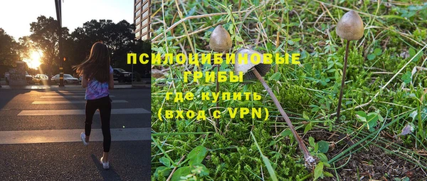 прущие крисы Ельня