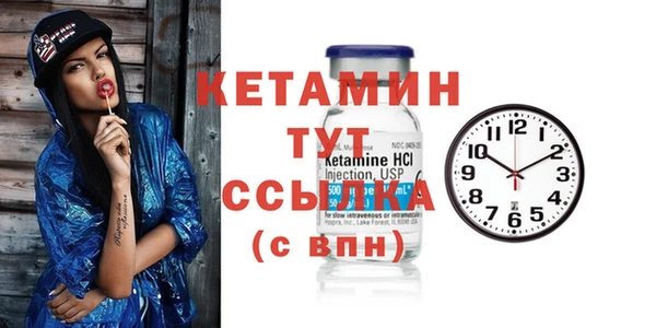 прущие крисы Ельня